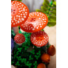 Lego 11505 Les champignons des bois