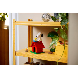 Lego 21368 Peanuts la niche de Snoopy