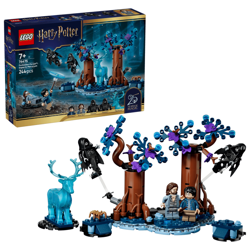 Lego 76475 Harry Potter La Forêt interdite Expecto
