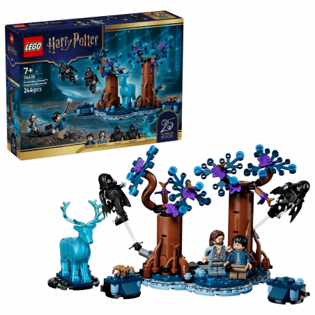 Lego 76475 Harry Potter La Forêt interdite Expecto