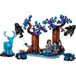 Lego 76475 Harry Potter La Forêt interdite Expecto