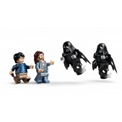 Lego 76475 Harry Potter La Forêt interdite Expecto