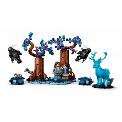 Lego 76475 Harry Potter La Forêt interdite Expecto