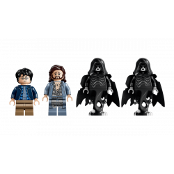 Lego 76475 Harry Potter La Forêt interdite Expecto