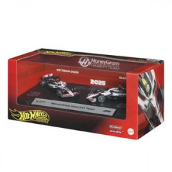 F1 Hotwheels 2025 x2 Hass