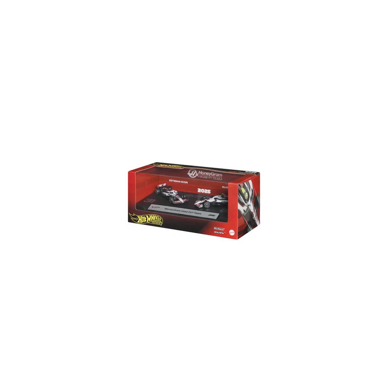 F1 Hotwheels 2025 x2 Hass