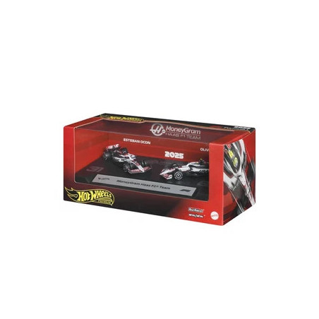 F1 Hotwheels 2025 x2 Hass