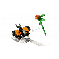 Lego 21372 La Catrina V29