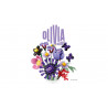Lego 11507 Bouquet de fleurs d'Olivia Ruiz V29