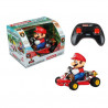 Kart Rc Mario Kart