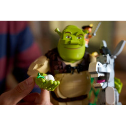 Lego 72423 Shrek, l'Âne et le Chat Potté V29