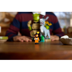 Lego 72423 Shrek, l'Âne et le Chat Potté V29