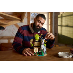 Lego 72423 Shrek, l'Âne et le Chat Potté V29