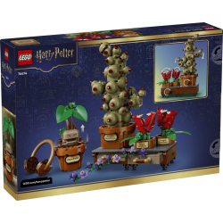 Lego Harry Potter 76474 Les plantes du cours de botanique