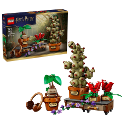 Lego Harry Potter 76474 Les plantes du cours de botanique