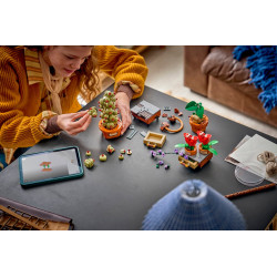 Lego Harry Potter 76474 Les plantes du cours de botanique
