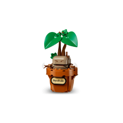 Lego Harry Potter 76474 Les plantes du cours de botanique