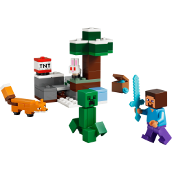 Lego Minecraft 21583 Les aventures de Steve