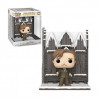 POP Remus lupin with the Shrieking Shack