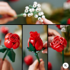 Bouquet de roses