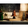 Lego Harry Potter Chapeau magique qui parle
