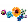 BOUQUET DE FLEURS SAUVAGES 10313
