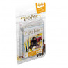 Jeux de Familles Harry Potter