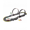 CIRCUIT DOUBLE LOOPING LICENCE