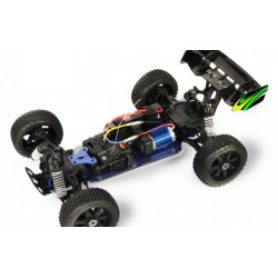 T2m Pirate Snake
