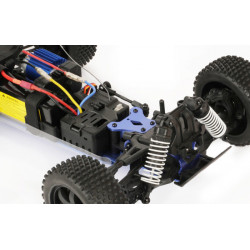T2m Pirate Snake