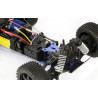 T2m Pirate Snake