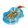 Sciences et jeux MES PREMIERS TRIOPS